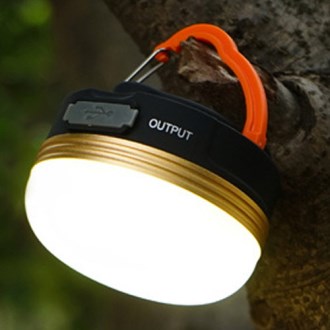 ������ ķ�ο� �߿� ���� CAH503