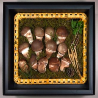 �����̹��� ���� �����ǰ�������Ʈ(�鼼ǰ)